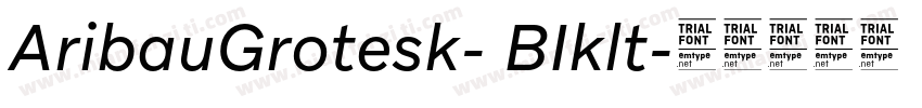 AribauGrotesk- BIklt字体转换